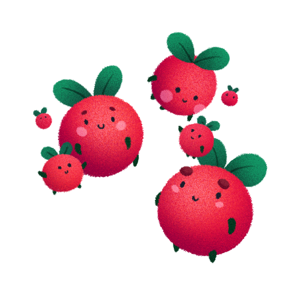 Lingonberry Sisters