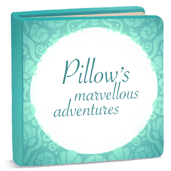 Pillow's marvellous adventures (to be continued)